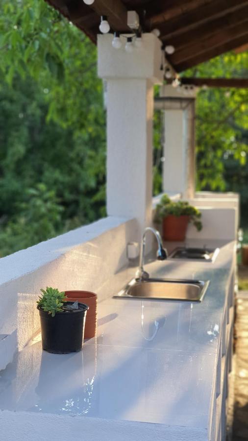 Villa Prespa Dolno Dupeni Eksteriør bilde